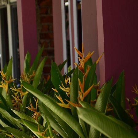 Baronda Guest House Соронг Экстерьер фото